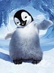 pic for Gloria From Happy Feet